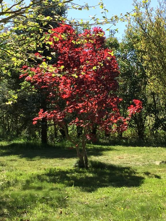 Agriturismo Le Due Arcate Villa San Massimo  Dış mekan fotoğraf